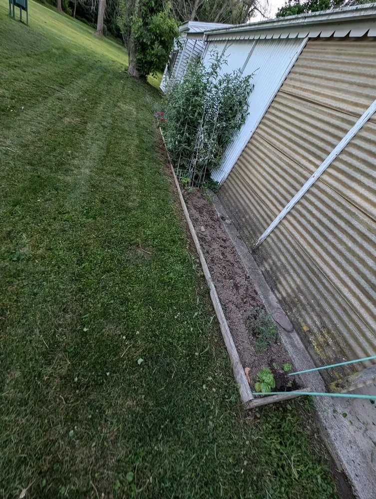 Custom yard cleanup service in Albion, NY - Hafner's Hedgers & Lawncare