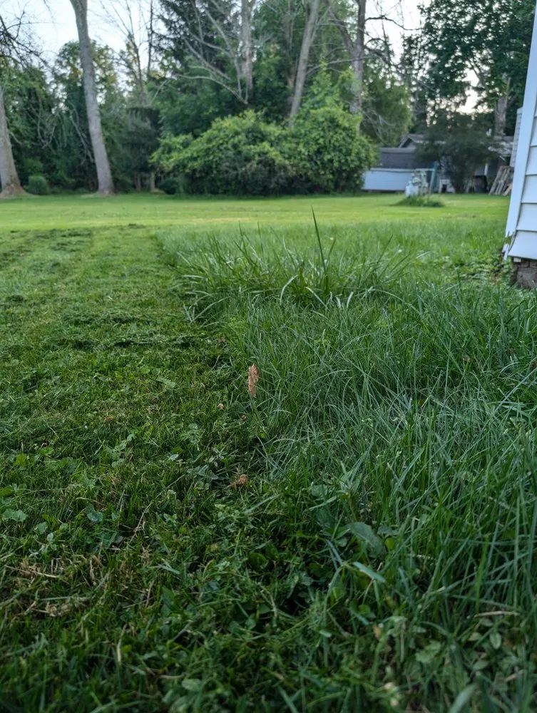 Expert yard maintenance for residential properties in Albion, NY by Hafner's Hedgers & Lawncare