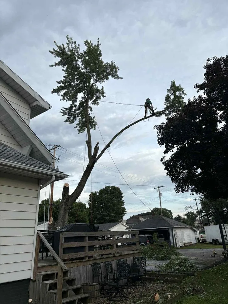 Expert garden landscaping for year-round maintenance across Newcomerstown, OH - Hagan Tree and Landscaping