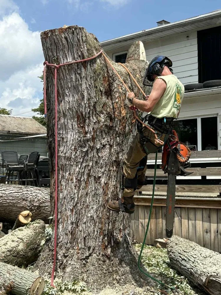 Reliable garden landscaping for beautiful yards across Newcomerstown, OH - Hagan Tree and Landscaping