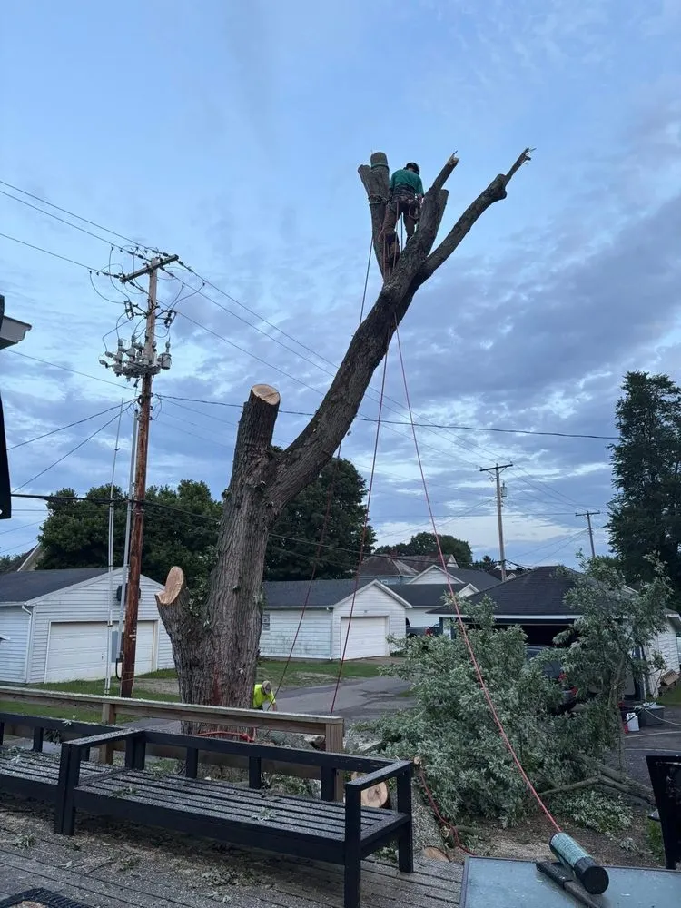 Local yard cleanup service experts serving Newcomerstown, OH - Hagan Tree and Landscaping