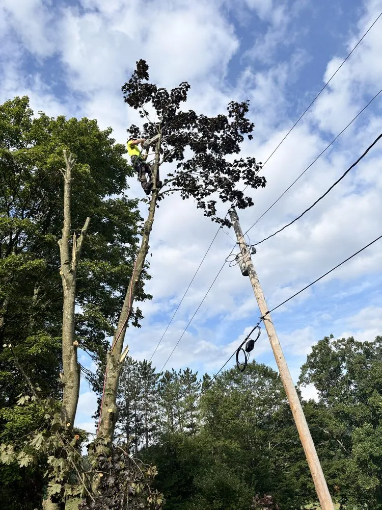 Custom yard maintenance in Newcomerstown, OH by Hagan Tree and Landscaping