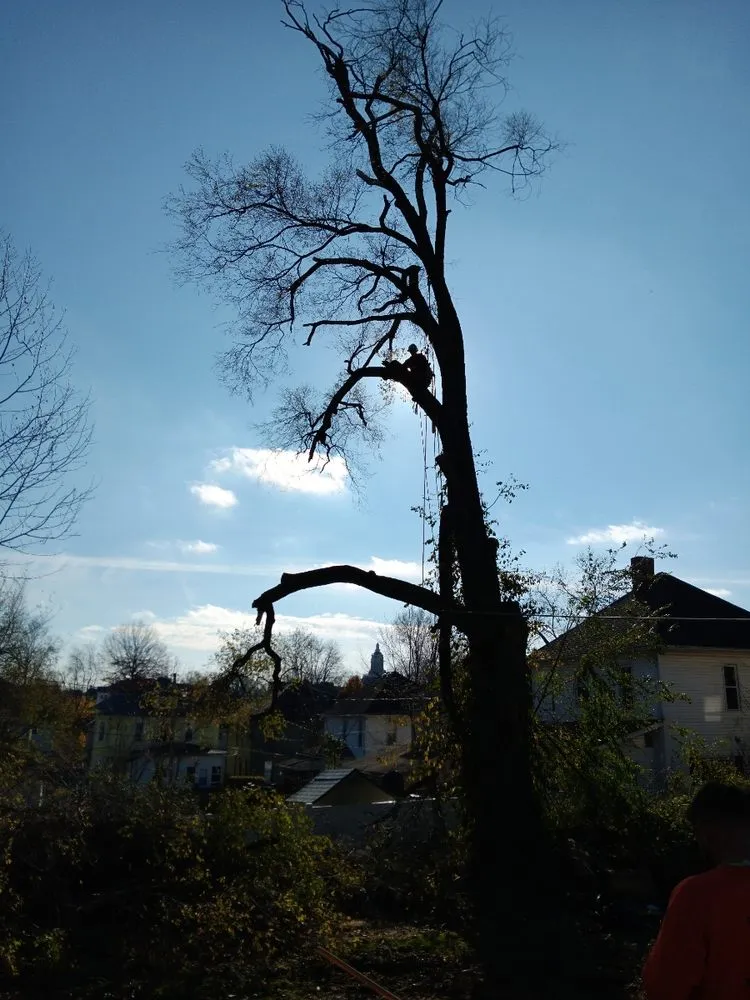 Local landscaping services experts serving Newcomerstown, OH - Hagan Tree and Landscaping