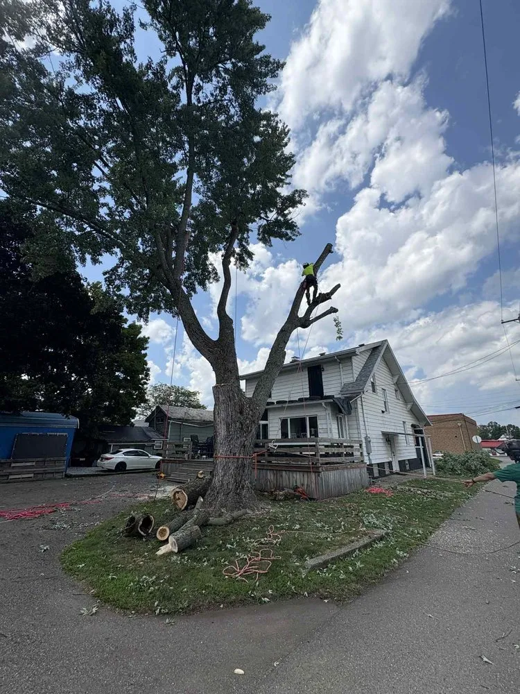 Reliable outdoor landscaping for year-round maintenance across Newcomerstown, OH - Hagan Tree and Landscaping