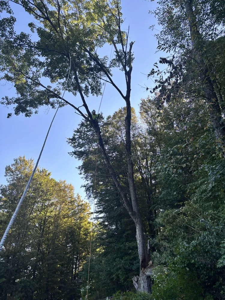 Custom residential landscaping for residential properties across Newcomerstown, OH - Hagan Tree and Landscaping