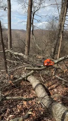 Hagan Tree and Landscaping