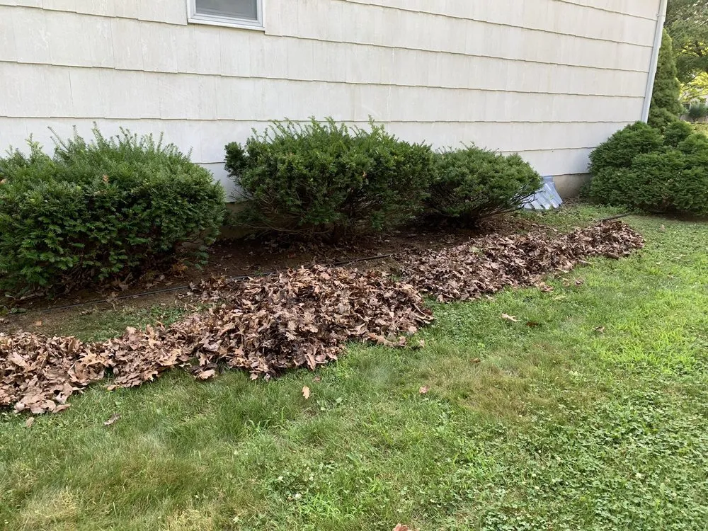 Professional landscape installation for residential properties in Spotswood, NJ by Hage Lawn Care
