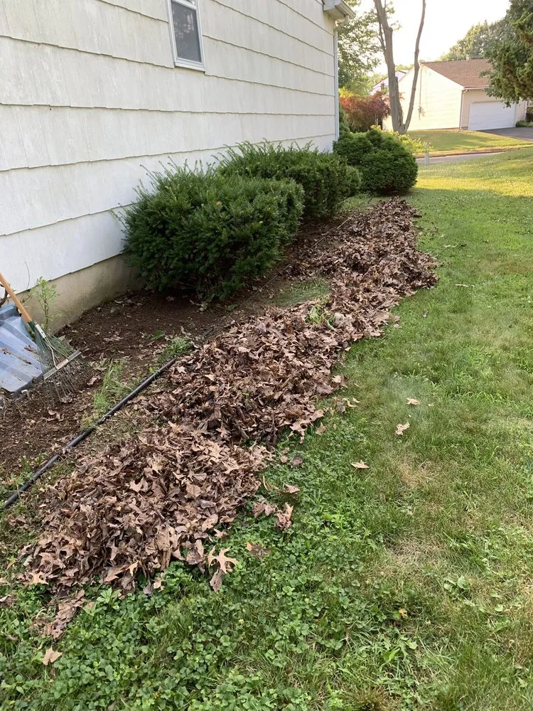 Expert landscape installation in Spotswood, NJ by Hage Lawn Care