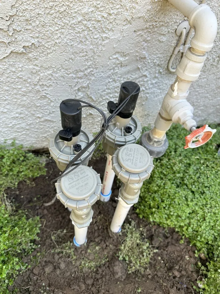 Trusted landscaping services for outdoor upgrades across Fresno, CA - Haglund Horticulture & Irrigation