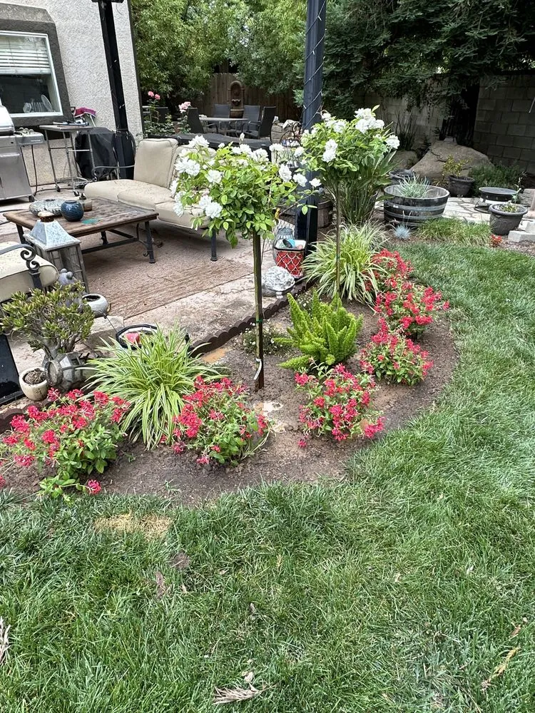 Expert landscape design for year-round maintenance in Fresno, CA by Haglund Horticulture & Irrigation