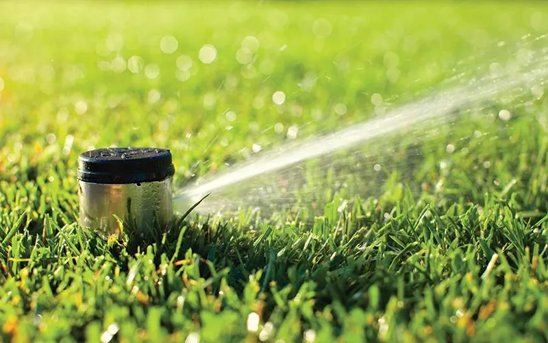Expert yard maintenance in Fresno, CA by Haglund Horticulture & Irrigation