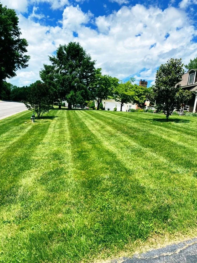 Custom garden landscaping experts serving Kingsport, TN - Hagood Landscaping