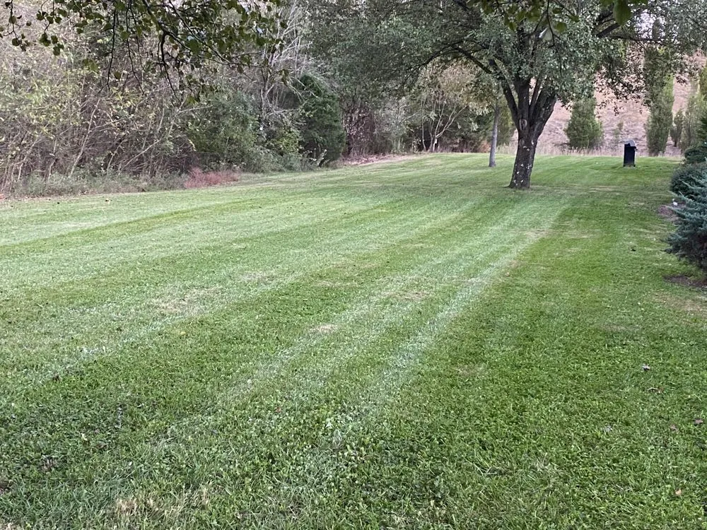 Reliable outdoor landscaping for beautiful yards across Kingsport, TN - Hagood Landscaping