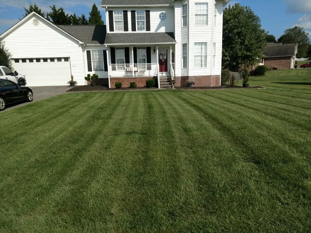 Reliable yard cleanup service experts serving Kingsport, TN - Hagood Landscaping