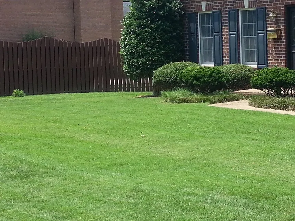 Reliable yard maintenance for outdoor upgrades in Kingsport, TN by Hagood Landscaping