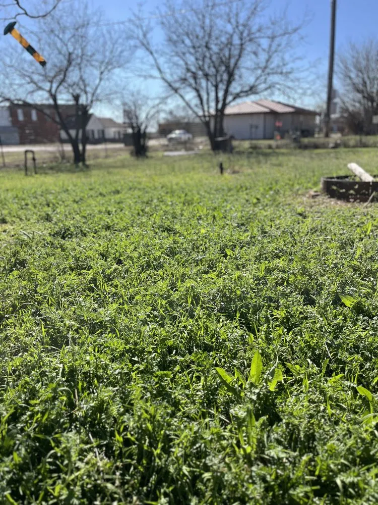 Custom lawn mowing service in Crowell, TX by Hagues Landscaping