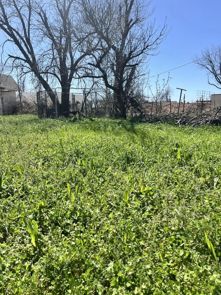 Expert garden landscaping in Crowell, TX - Hagues Landscaping