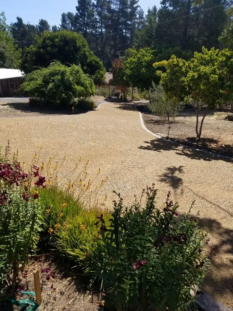 Trusted landscape installation for residential properties across Sonoma, CA - Hagy Landscape