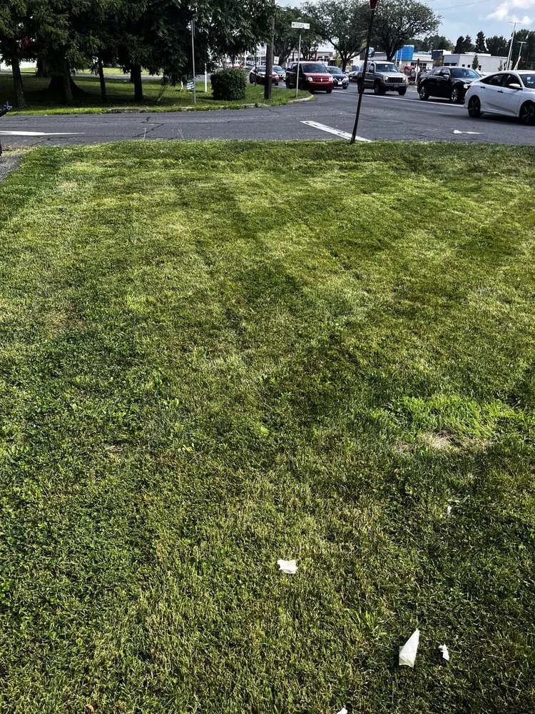 Trusted landscaping services for residential properties across Fullerton, PA - Hahn’s Lawns