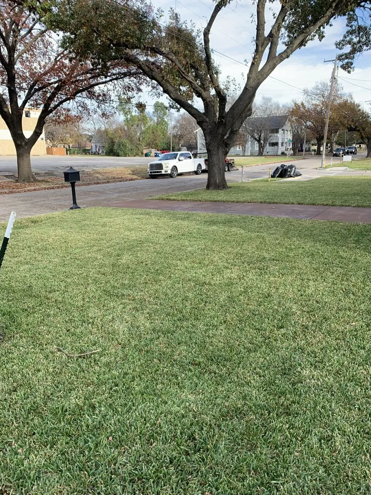 Trusted landscape installation in Arlington, TX - Hailo Cuts Lawn Care