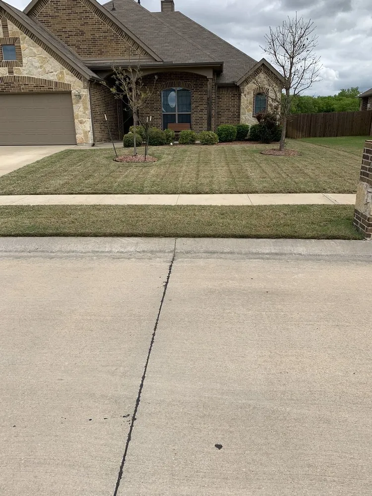 Top-rated lawn care service for residential properties across Arlington, TX - Hailo Cuts Lawn Care