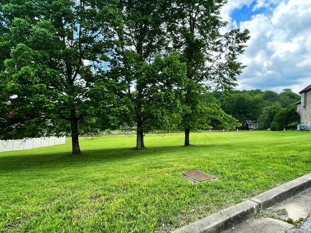 Expert lawn mowing service in Springfield, TN - Haines Lawn & Landscaping