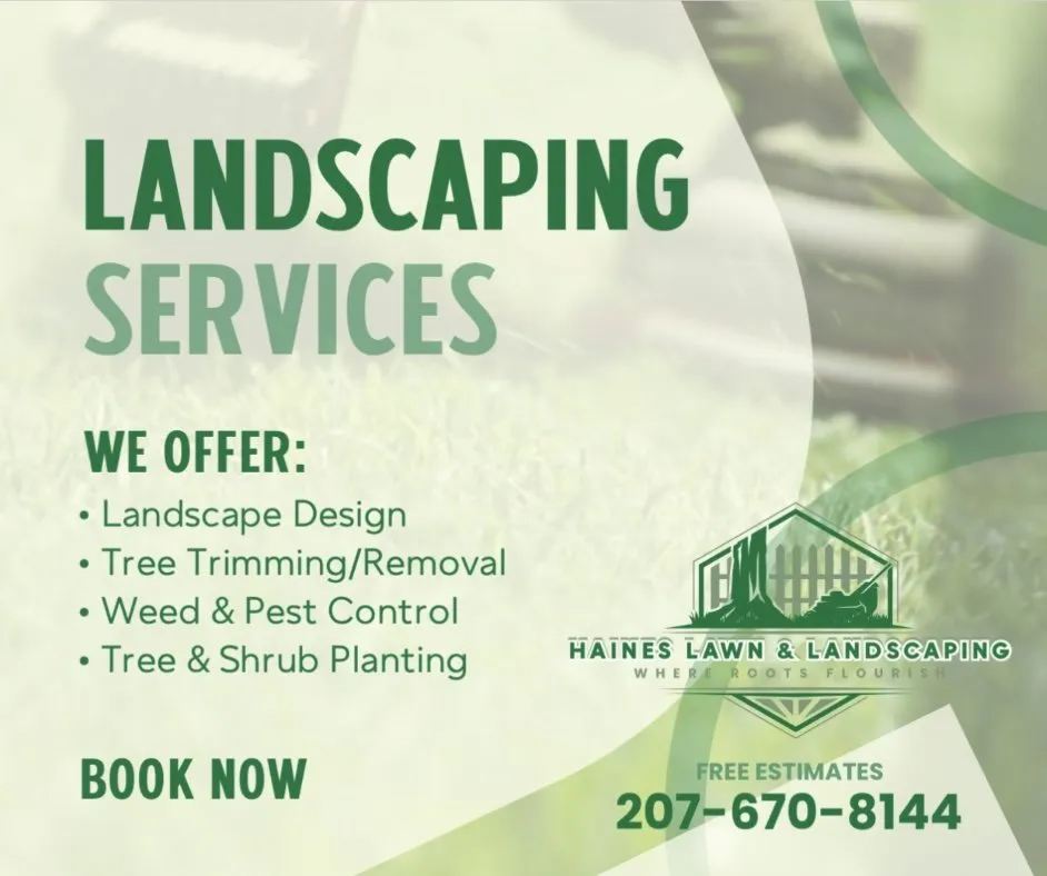 Professional yard cleanup service in Springfield, TN by Haines Lawn & Landscaping