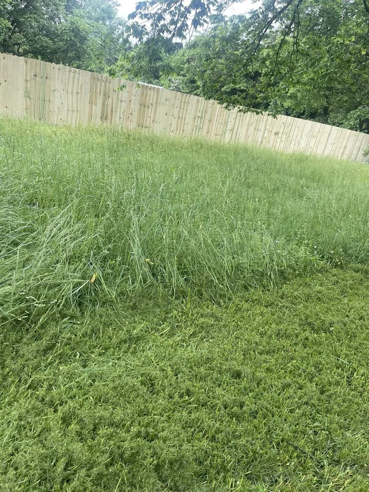 Affordable landscape design near you across Springfield, TN - Haines Lawn & Landscaping