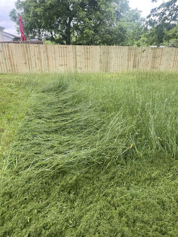 Professional landscape installation for year-round maintenance across Springfield, TN - Haines Lawn & Landscaping