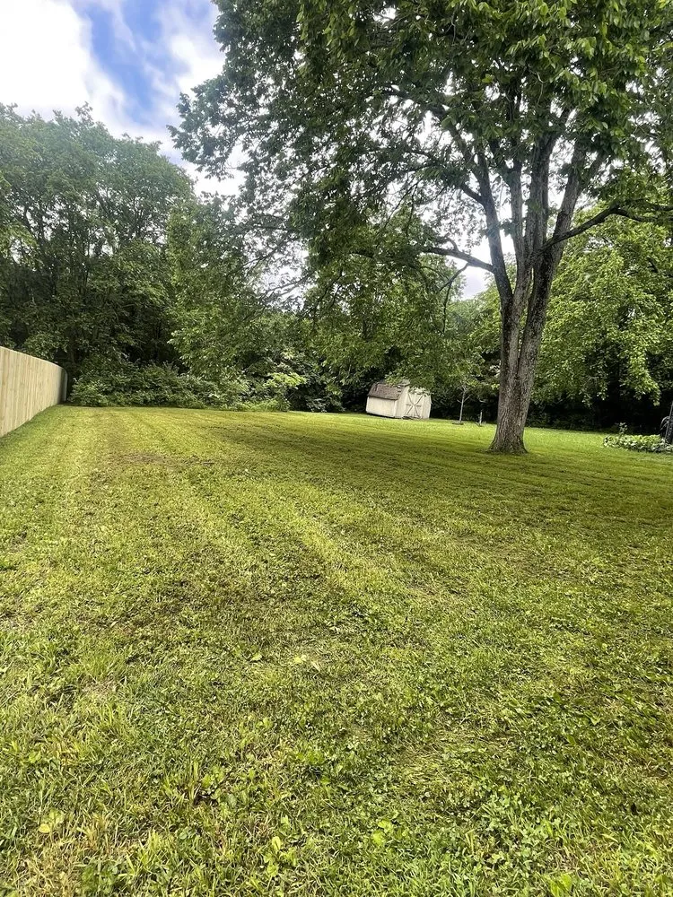 Reliable lawn mowing service for residential properties across Springfield, TN - Haines Lawn & Landscaping