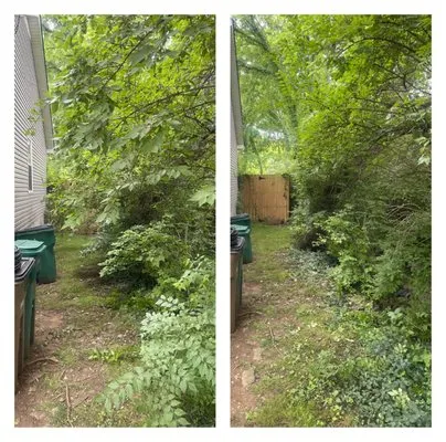 Haines Lawn & Landscaping