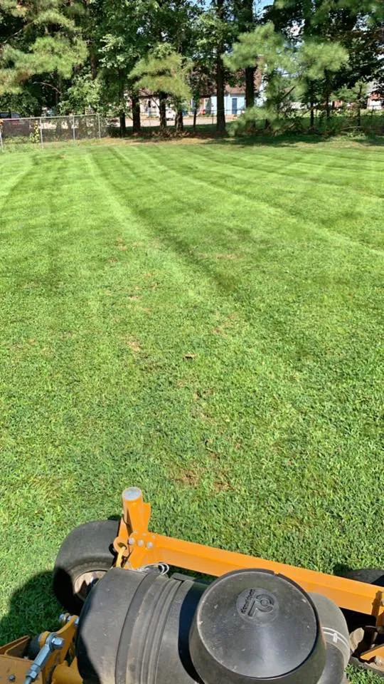 Top-rated yard cleanup service with custom design in Henderson, TN by Haines Lawn Care