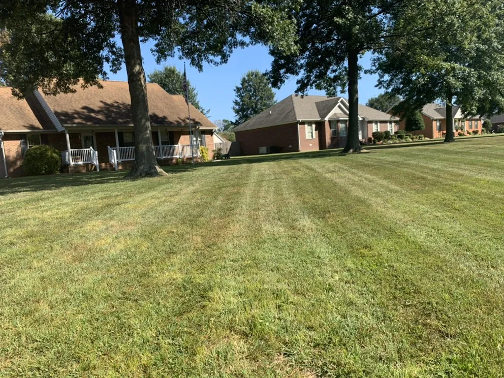 Professional landscape installation experts serving Henderson, TN - Haines Lawn Care