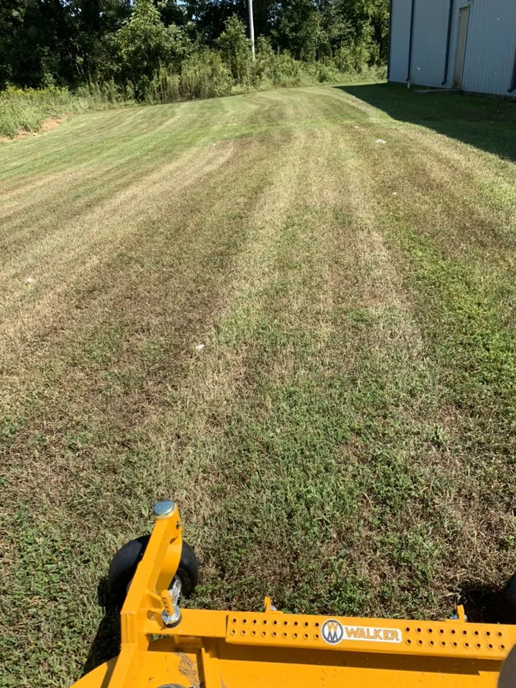 Professional yard maintenance experts serving Henderson, TN - Haines Lawn Care