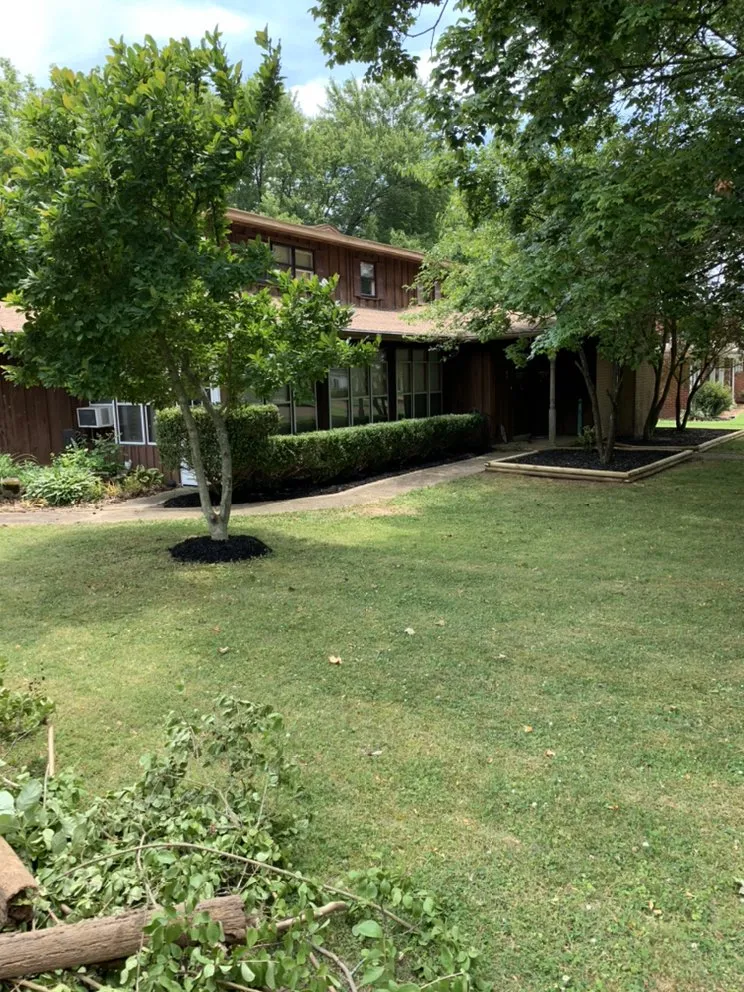 Reliable lawn mowing service experts serving Henderson, TN - Haines Lawn Care