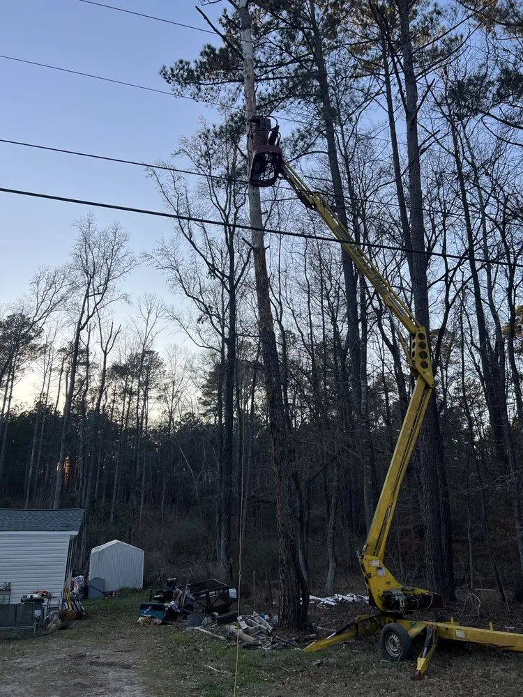 Professional yard maintenance in Flovilla, GA by Haire's Tree Service & Land Management
