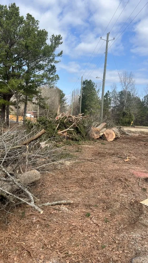 Affordable outdoor landscaping near you across Flovilla, GA - Haire's Tree Service & Land Management