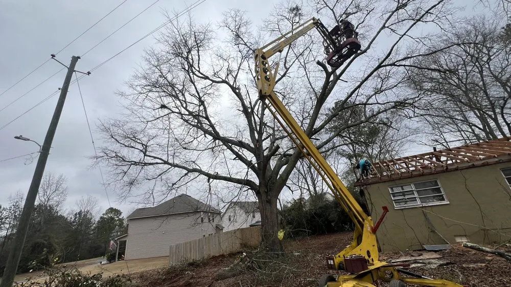Trusted yard maintenance for outdoor upgrades in Flovilla, GA by Haire's Tree Service & Land Management