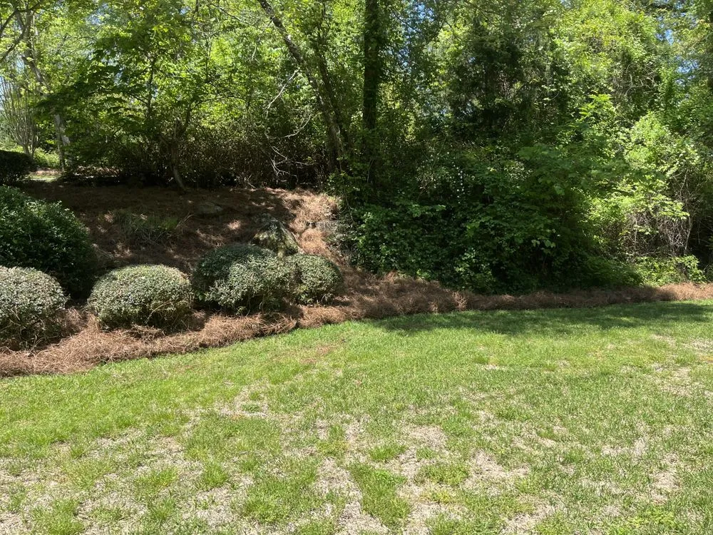 Local lawn care service for beautiful yards across Flovilla, GA - Haire's Tree Service & Land Management