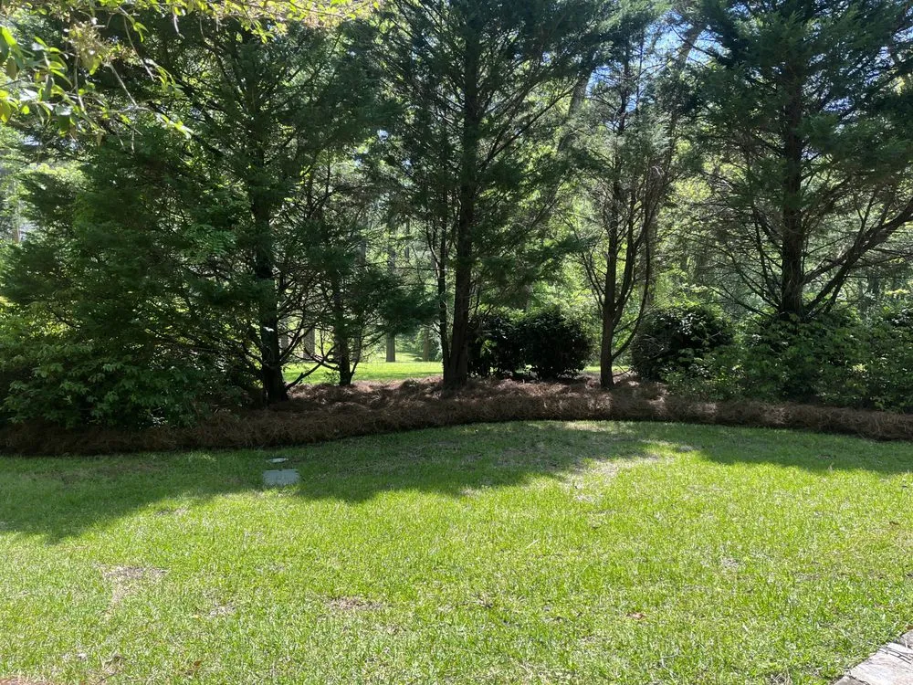 Trusted landscaping services in Flovilla, GA - Haire's Tree Service & Land Management