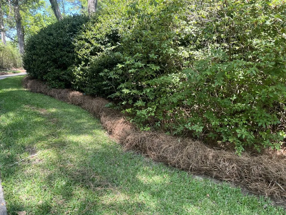 Professional yard cleanup service near you across Flovilla, GA - Haire's Tree Service & Land Management