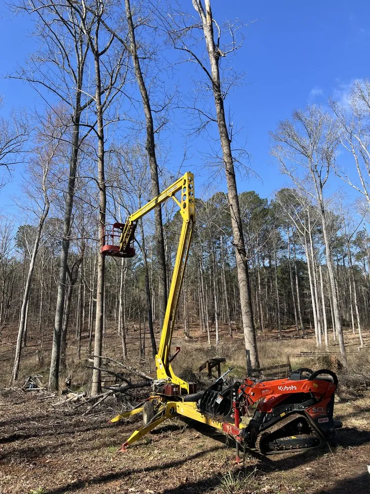Expert yard maintenance in Flovilla, GA by Haire's Tree Service & Land Management