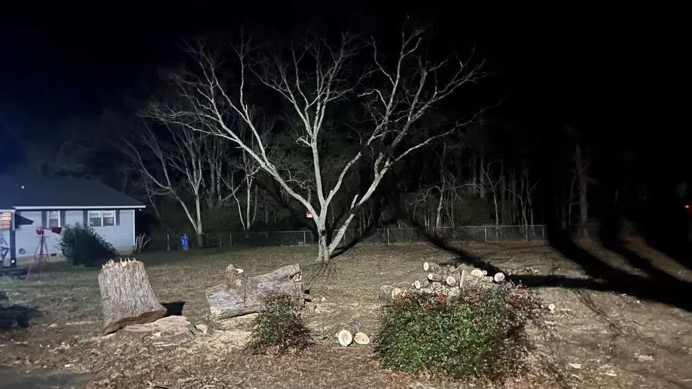 Professional yard cleanup service in Flovilla, GA by Haire's Tree Service & Land Management