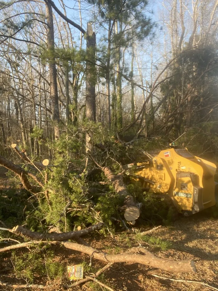 Affordable residential landscaping experts serving Flovilla, GA - Haire's Tree Service & Land Management