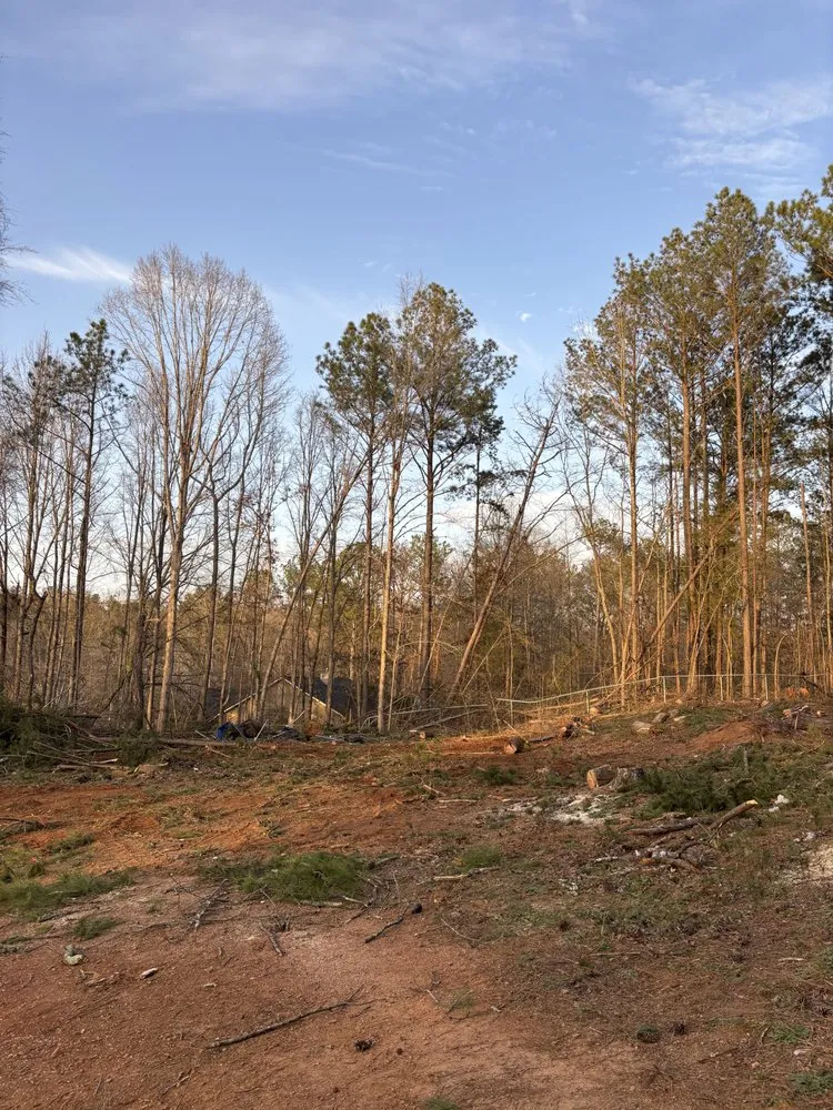 Top-rated yard maintenance in Flovilla, GA by Haire's Tree Service & Land Management