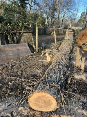 Haire's Tree Service & Land Management