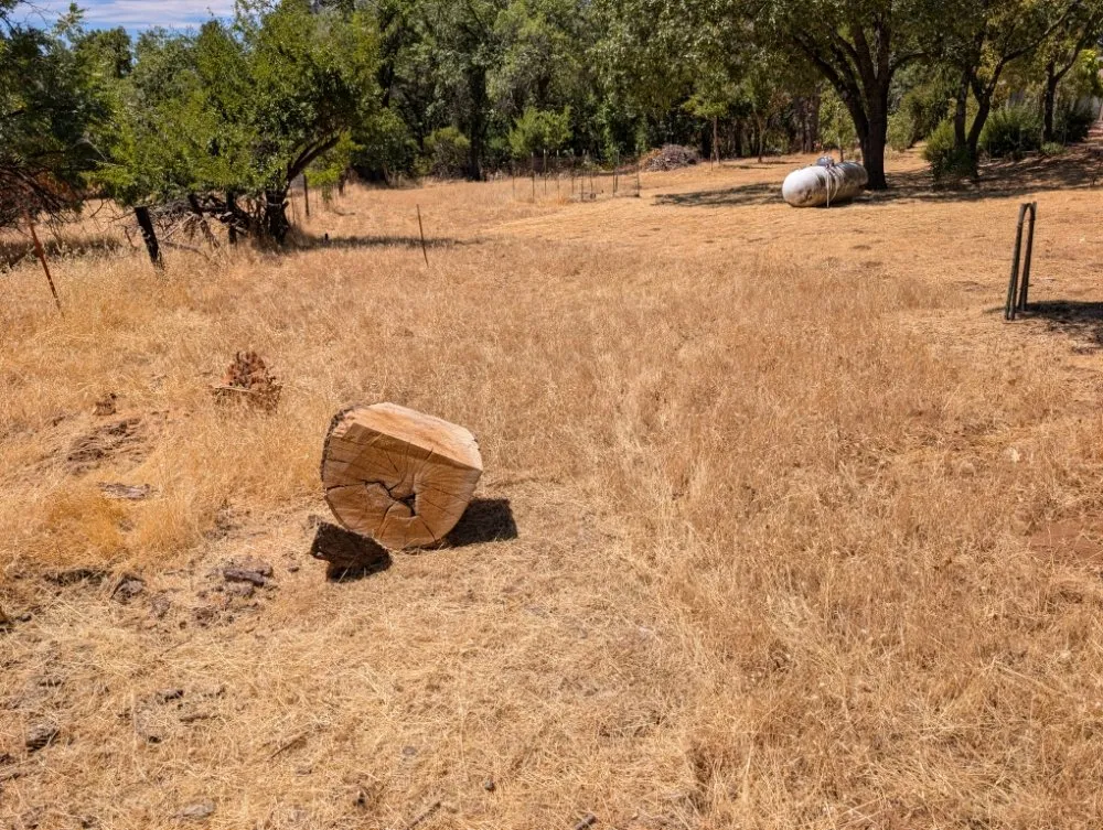 Reliable outdoor landscaping in Placerville, CA by Haith Lawn Care