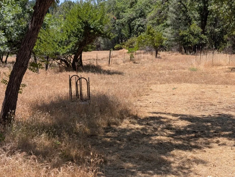 Local yard maintenance in Placerville, CA - Haith Lawn Care