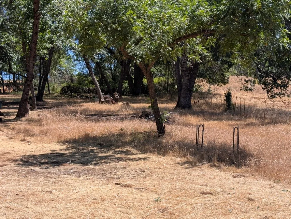 Top-rated lawn mowing service in Placerville, CA - Haith Lawn Care