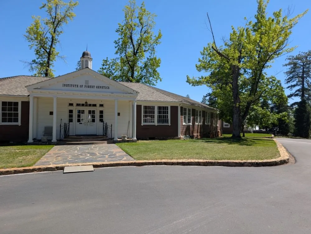 Reliable lawn mowing service in Placerville, CA by Haith Lawn Care